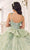 Cinderella Divine 15718 - Floral Applique Ballgown Ball Gowns