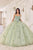 Cinderella Divine 15718 - Floral Applique Ballgown Ball Gowns