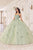 Cinderella Divine 15718 - Floral Applique Ballgown Ball Gowns