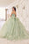 Cinderella Divine 15718 - Floral Applique Ballgown Ball Gowns