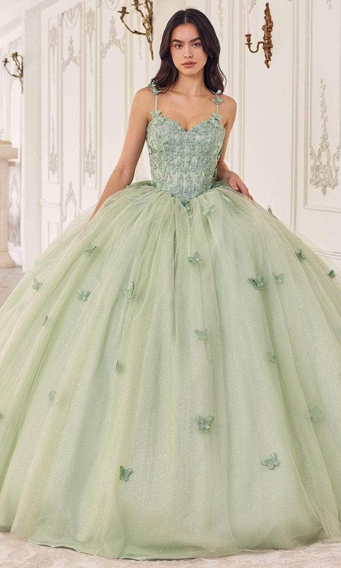 Cinderella Divine 15718 - Floral Applique Ballgown Ball Gowns XXS / Sage