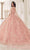 Cinderella Divine 15719 - Ornately Appliqued Ballgown Ball Gowns