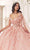 Cinderella Divine 15719 - Ornately Appliqued Ballgown Ball Gowns