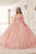 Cinderella Divine 15719 - Ornately Appliqued Ballgown Ball Gowns