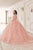 Cinderella Divine 15719 - Ornately Appliqued Ballgown Ball Gowns