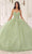 Cinderella Divine 15719 - Ornately Appliqued Ballgown Ball Gowns XXS / Sage