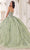 Cinderella Divine 15722 - Ballgown with Statement Puff Sleeves Ball Gowns