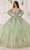 Cinderella Divine 15722 - Ballgown with Statement Puff Sleeves Ball Gowns XXS / Sage