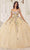 Cinderella Divine 15724 - Floral Multi-Color Ballgown Ball Gowns