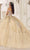 Cinderella Divine 15724 - Floral Multi-Color Ballgown Ball Gowns