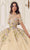 Cinderella Divine 15724 - Floral Multi-Color Ballgown Ball Gowns