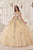 Cinderella Divine 15724 - Floral Multi-Color Ballgown Ball Gowns