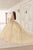 Cinderella Divine 15724 - Floral Multi-Color Ballgown Ball Gowns