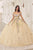 Cinderella Divine 15724 - Floral Multi-Color Ballgown Ball Gowns