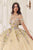 Cinderella Divine 15724 - Floral Multi-Color Ballgown Ball Gowns