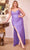 Cinderella Divine CD307 - Sleeveless Gown with Illusion Corset Prom Dresses