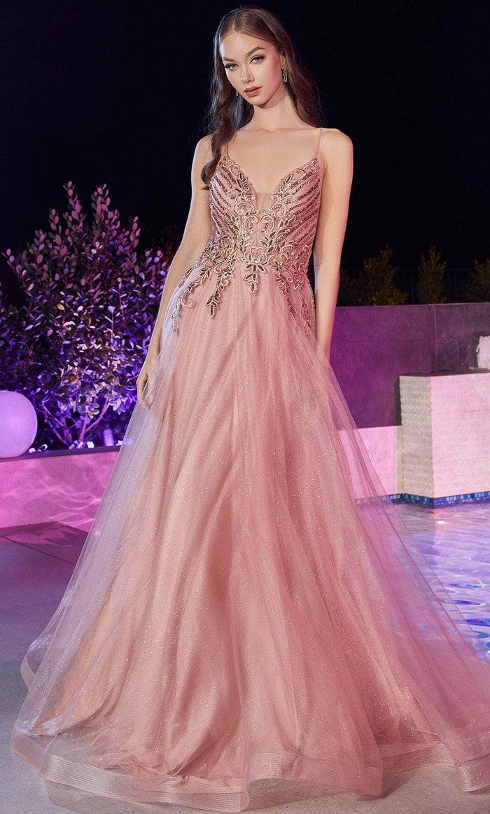 Cinderella Divine CD874 - Long Tulle Prom Dress with Applique Details Evening Dresses 4 / Rose Gold