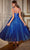 Cinderella Divine CD996T - Sleeveless Dress with Glitter Flocking Ball Gowns