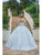 Dancing Queen 0165 - Off-Shoulder Floral Embellished Ballgown Quinceanera Dresses