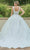 Dancing Queen 0166 - Plunging Sleeveless Ballgown Quinceanera Dresses