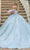 Dancing Queen 0182 - Floral Motif Off-Shoulder Ballgown Quinceanera Dresses