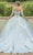 Dancing Queen 0187 - Embroidered Sweetheart Neck Ballgown Quinceanera Dresses