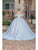 Dancing Queen 0228 - Cold Shoulder Embroidered Ballgown Special Occasion Dress