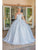 Dancing Queen 0239 - 3D Floral Embellished Off-Shoulder Ballgown Special Occasion Dress