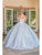 Dancing Queen 0239 - 3D Floral Embellished Off-Shoulder Ballgown Special Occasion Dress