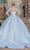 Dancing Queen 0242 - Illusion Long Sleeve Ballgown Quinceanera Dresses