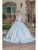 Dancing Queen 0242 - Illusion Long Sleeve Ballgown Special Occasion Dress