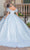 Dancing Queen 0243 - Off-Shoulder Feather Detailed Ballgown Quinceanera Dresses