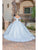 Dancing Queen 0243 - Off-Shoulder Feather Detailed Ballgown Special Occasion Dress