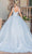 Dancing Queen 0252 - Illusion Neck Sleeveless Ballgown Ball Gowns