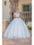 Dancing Queen 0252 - Illusion Neck Sleeveless Ballgown Special Occasion Dress