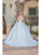 Dancing Queen 0252 - Illusion Neck Sleeveless Ballgown Special Occasion Dress