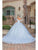 Dancing Queen 0256 - Embroidered Off-Shoulder Ballgown Special Occasion Dress