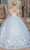 Dancing Queen 0257 - Sweetheart Embroidered Wedding Ballgown Quinceanera Dresses