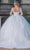 Dancing Queen 0264 - Embroidered Sheer Long Sleeve Ballgown Quinceanera Dresses