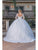 Dancing Queen 0264 - Embroidered Sheer Long Sleeve Ballgown Special Occasion Dress