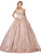 Dancing Queen - 1397 Sweetheart Bodice Gold Accented Ballgown Quinceanera Dresses XS / Rose Gold