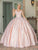 Dancing Queen - 1501 Floral Appliqued Corset Ballgown Ball Gowns XS / Blush