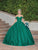 Dancing Queen - 1501 Floral Appliqued Corset Ballgown Ball Gowns XS / Hunter Green