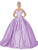 Dancing Queen - 1501 Floral Appliqued Corset Ballgown Ball Gowns XS / Lilac