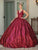 Dancing Queen - 1558 Sequin V-Neck Ballgown Quinceanera Dresses XS / Burgundy