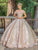 Dancing Queen - 1559 Sequined Corset Back Gown Quinceanera Dresses