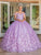 Dancing Queen - 1569 Off Shoulder Floral Applique Ballgown Quinceanera Dresses