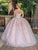 Dancing Queen - 1640 3D Floral Applique Corset Lace-Up Back Ballgown Quinceanera Dresses