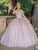 Dancing Queen - 1640 3D Floral Applique Corset Lace-Up Back Ballgown Quinceanera Dresses XS / Blush