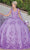 Dancing Queen 1695 - Appliqued Quinceanera Ballgown Ball Gowns